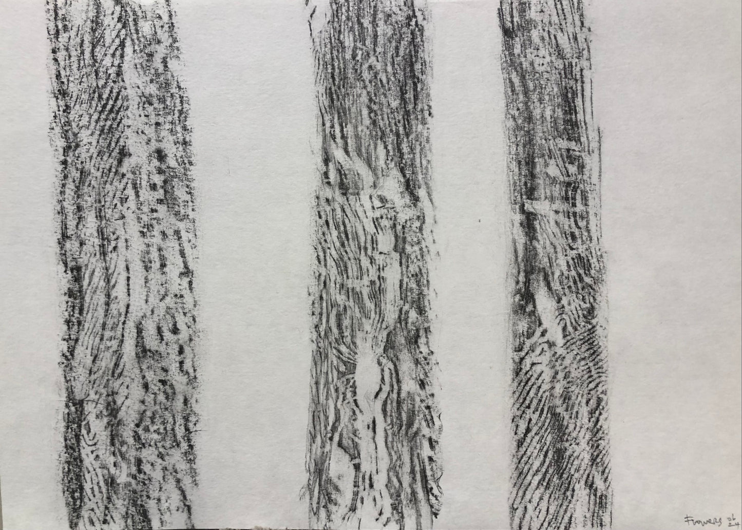 Jane Flowers - Trio of Trees Rubbing
