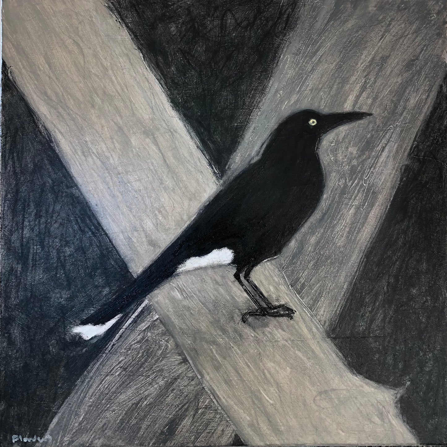 Jane Flowers - Currawong
