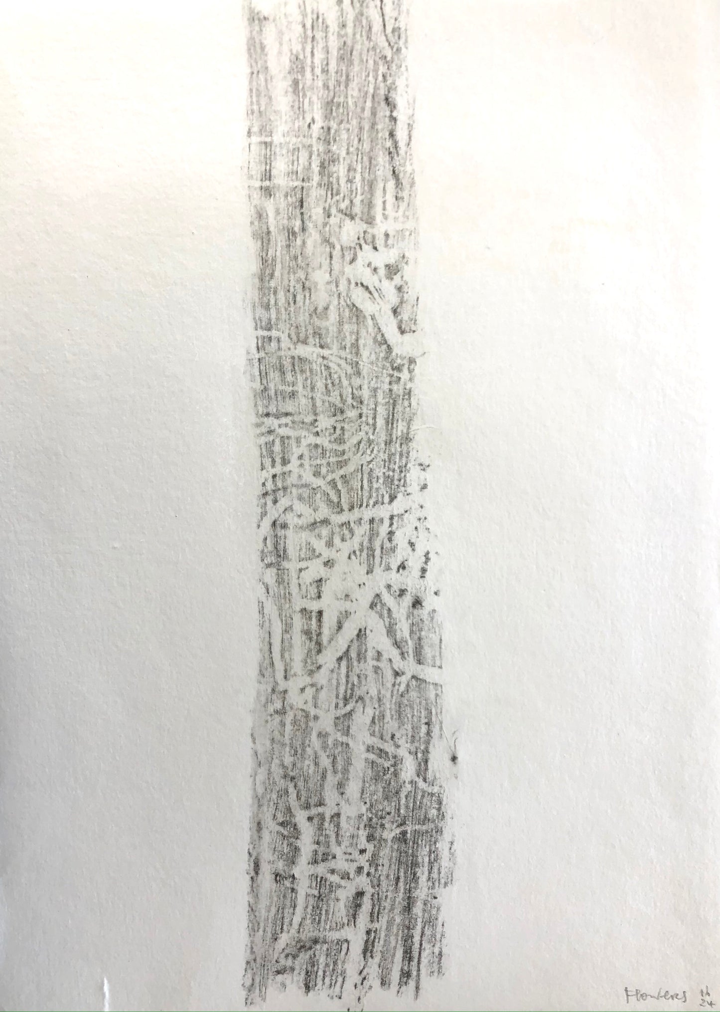 Jane Flowers - Tree Trunk Rubbing