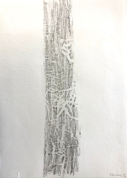 Jane Flowers - Tree Trunk Rubbing